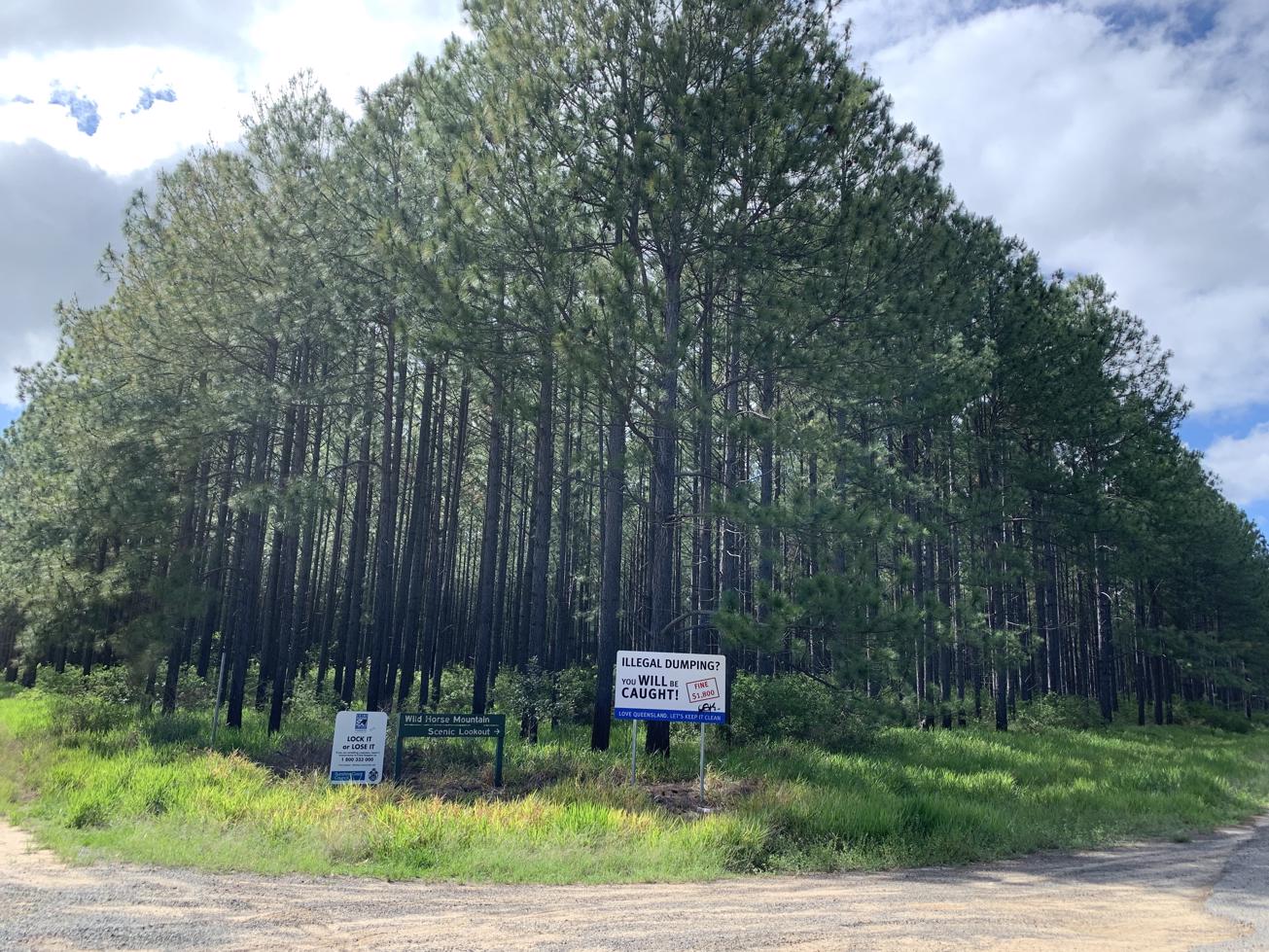 Wild Horse Mountain Lookout Adventure Sunshine Coast